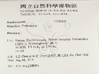 紅菇屬藏品圖，第2張