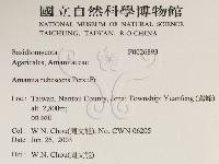 登錄號:F0026893藏品圖，第2張