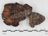 登錄號:F0026893藏品圖，第1張