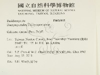 登錄號:F0026895藏品圖，第2張