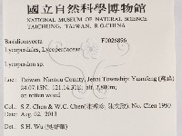 登錄號:F0026896藏品圖，第2張