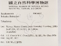 登錄號:F0026897藏品圖，第2張