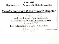 登錄號:F0026901藏品圖，第3張