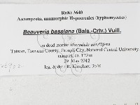 登錄號:F0026902藏品圖，第3張