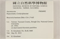 登錄號:F0026902藏品圖，第5張