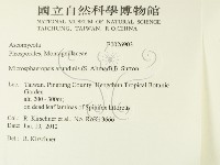 登錄號:F0026903藏品圖，第2張
