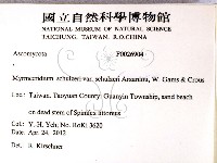 登錄號:F0026904藏品圖，第2張