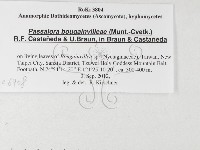 登錄號:F0026908藏品圖，第3張