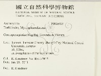 登錄號:F0026909藏品圖，第2張