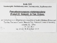 登錄號:F0026910藏品圖，第3張