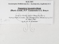 登錄號:F0026911藏品圖，第3張