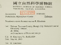 登錄號:F0026913藏品圖，第2張