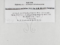 登錄號:F0026914藏品圖，第3張