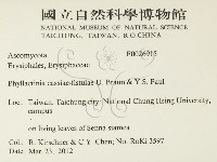 登錄號:F0026915藏品圖，第2張