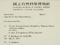 登錄號:F0026916藏品圖，第2張