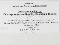 登錄號:F0026916藏品圖，第3張