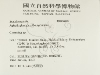 登錄號:F0026918藏品圖，第2張