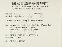 登錄號:F0026919藏品圖，第2張