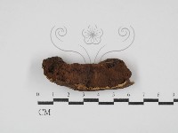 登錄號:F0026922藏品圖，第1張