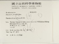 登錄號:F0026929藏品圖，第2張