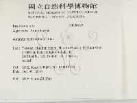 登錄號:F0026933藏品圖，第2張