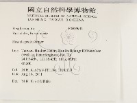 登錄號:F0026934藏品圖，第2張