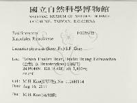 登錄號:F0026935藏品圖，第2張