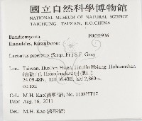 登錄號:F0026936藏品圖，第2張