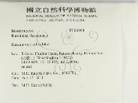 登錄號:F0026938藏品圖，第2張