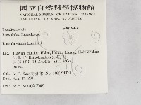 登錄號:F0026939藏品圖，第2張