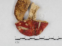 登錄號:F0026939藏品圖，第1張