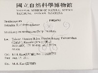 登錄號:F0026941藏品圖，第2張