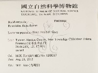 登錄號:F0026944藏品圖，第2張