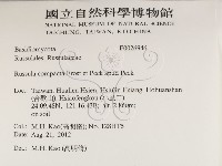 登錄號:F0026946藏品圖，第2張
