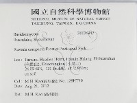 登錄號:F0026947藏品圖，第2張