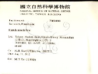 登錄號:F0026948藏品圖，第2張