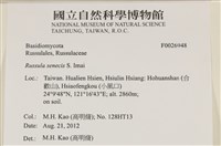 登錄號:F0026948藏品圖，第3張