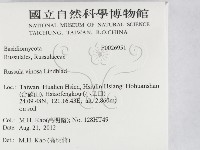 登錄號:F0026951藏品圖，第2張