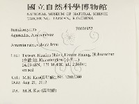 登錄號:F0026952藏品圖，第2張