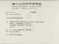 登錄號:F0026954藏品圖，第2張