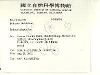 登錄號:F0026955藏品圖，第2張