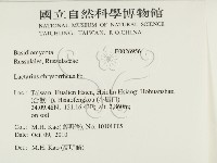 登錄號:F0026956藏品圖，第2張