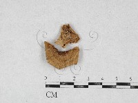 登錄號:F0026956藏品圖，第1張