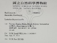 登錄號:F0026958藏品圖，第2張