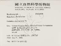 登錄號:F0026959藏品圖，第2張