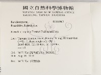 登錄號:F0026962藏品圖，第2張