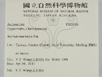 登錄號:F0026966藏品圖，第2張