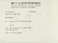 登錄號:F0026969藏品圖，第2張