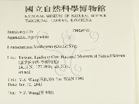 登錄號:F0026970藏品圖，第2張
