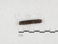 登錄號:F0026974藏品圖，第1張